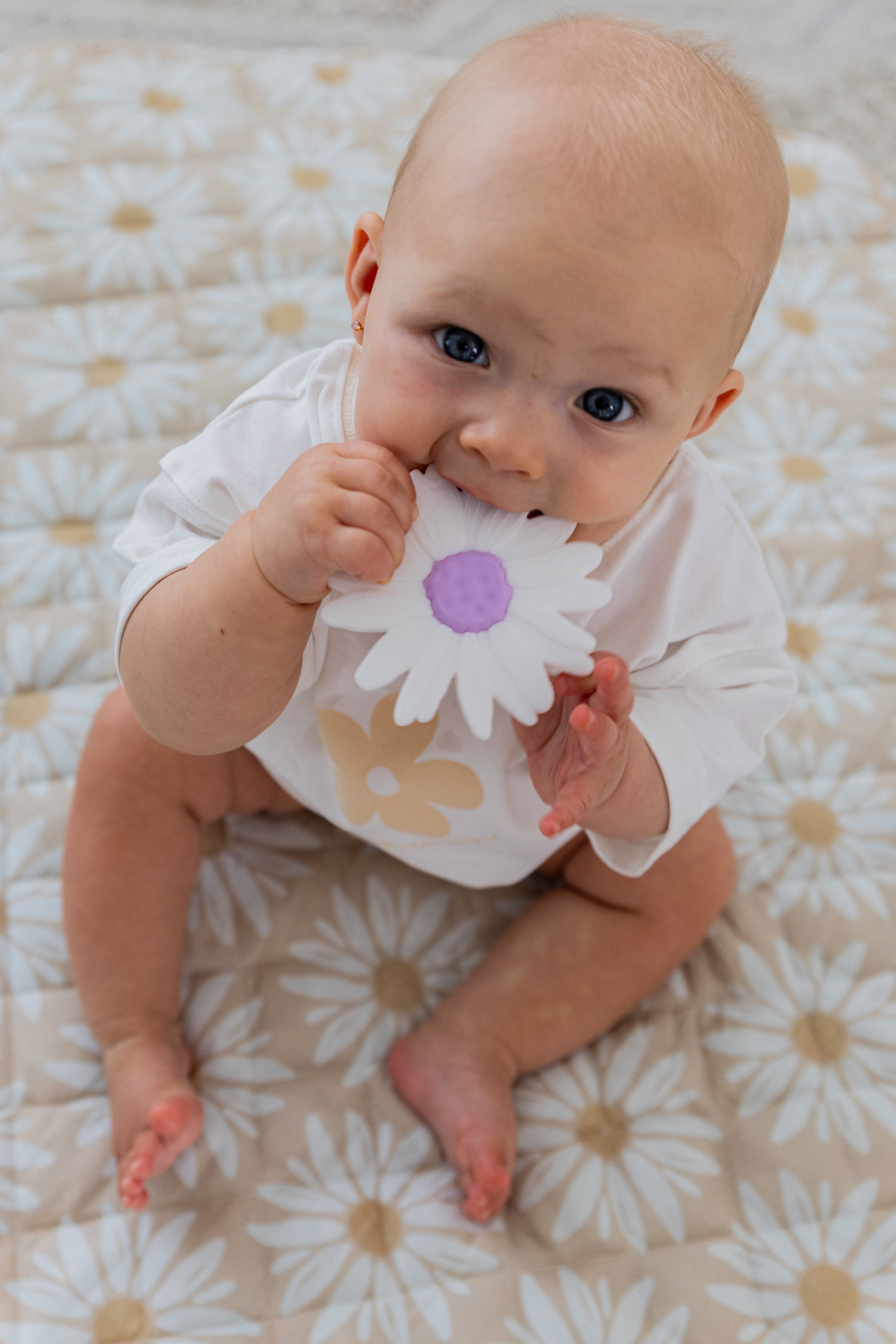 Silicone Teether - Milk Daisy / Lilac Centre